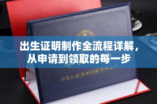 忻府出生证明制作全流程详解，从申请到领取的每一步