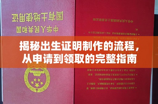 忻府揭秘出生证明制作的流程，从申请到领取的完整指南