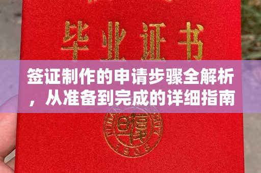 忻府签证制作的申请步骤全解析，从准备到完成的详细指南