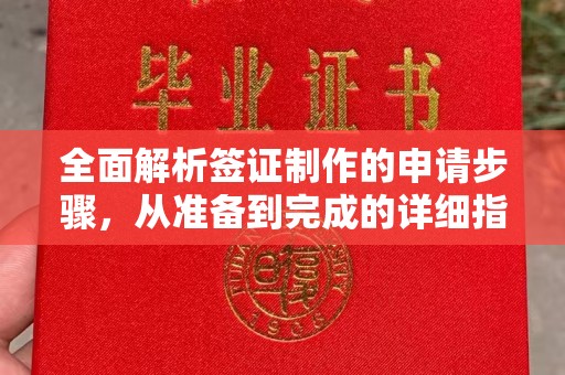 忻府全面解析签证制作的申请步骤，从准备到完成的详细指南