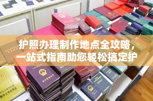 忻府护照办理制作地点全攻略，一站式指南助您轻松搞定护照