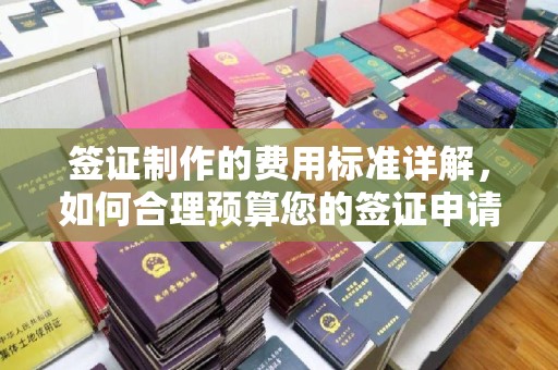 忻府签证制作的费用标准详解，如何合理预算您的签证申请成本